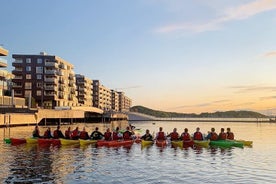 Curso de kayak para principiantes en Vattkørt de 3 horas en el fiordo de Oslo