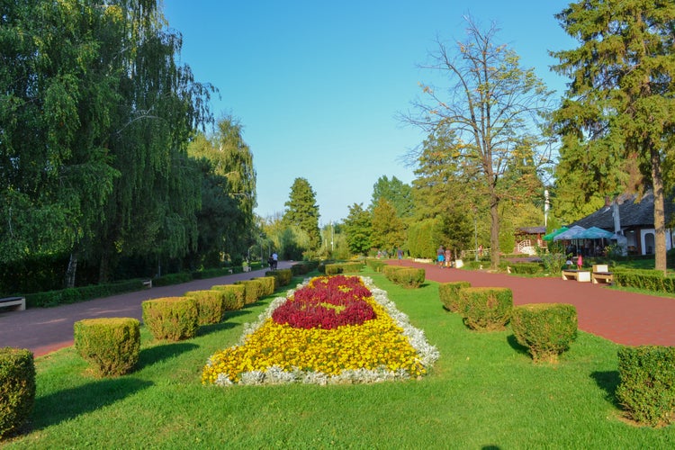 PITESTI, Romania - Colorful park strand with flowers