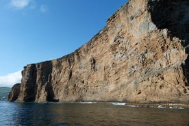 Snorkelervaring op het eiland Terceira