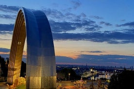 Tour panorámico de conducción nocturna en Kiev con guía privado