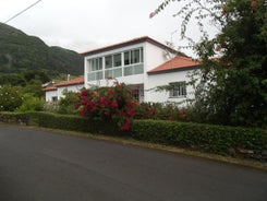 Tropical Fruit Garden