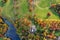 Aerial photo in autumn showing the beautiful autumn colours of a park in Leeds known as Roundhay Park in West Yorkshire UK showing The Mansion Hotel and the large lake opposite.