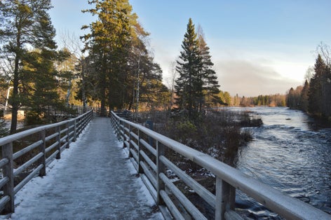Photo of wooden trail in the forest near Koitelinkoski in Oulu, Finland.