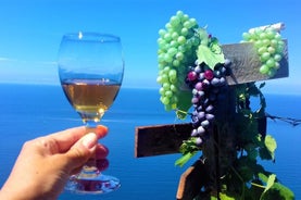 Minitrekking et visite du vignoble des Cinque Terre