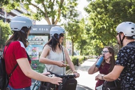 Excursão de bicicleta elétrica pelo rio de Madri