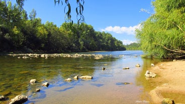 Choupal National Forest