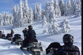 Bucharest: Carpathian Snowmobile Adventure Tour