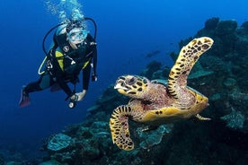 Zakynthos Scuba Diving Experience with Underwater Photos