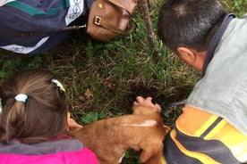 Experiencia de caza y degustación de trufas