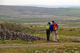 Burren guidad promenad