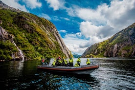 Frá Svolvær: Haförnaskoðun til Trollfjord