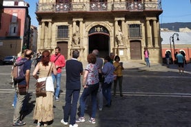 Tour guidato privato di Pamplona