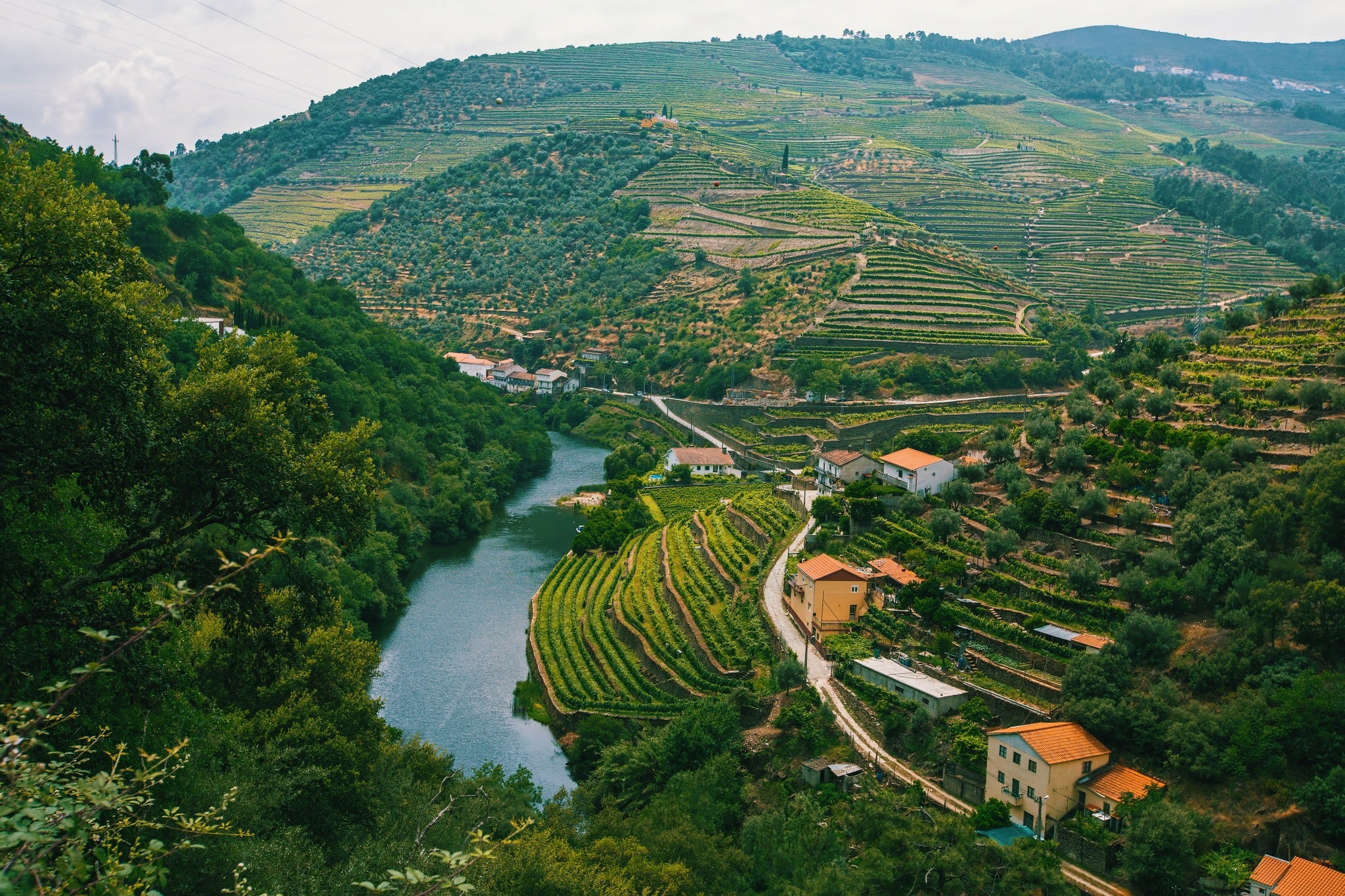 Douro Valley Porto.jpg