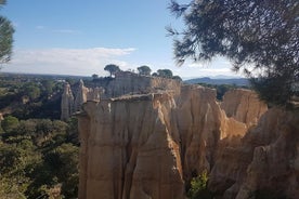 Descubrimiento de órganos y trufa catalana