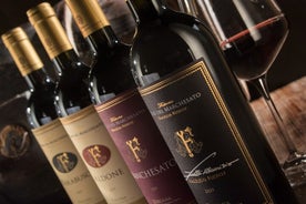 Bolgheri: Premium vinprovning med vingårdstur