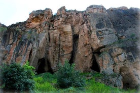 Visita privada a Khor Virap, Noravank, antiga caverna das aves, fábrica de vinhos Hin Areni