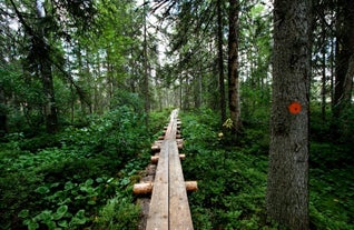 Petkeljärvi National Park