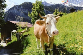 Erkunden Sie die Instaworthy Spots von Interlaken mit einem Einheimischen