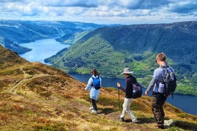 Heldags Fjordvandring privat- Bergen