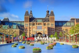 Full Day Private Shore Tour in Amsterdam from Rotterdam Port