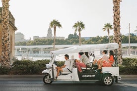 Expresstur i Malaga i privat Eco Tuk Tuk