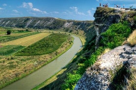 Visita guiada privada de medio día a Orheiul Vechi y una granja