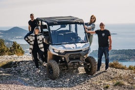 Passeio de buggy panorâmico privado (meio dia)