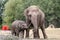 photo of animals at the Dierenrijk in Mierlo, The Netherlands.