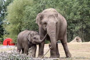 Eindhoven Zoo