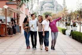 Tour a piedi delle meraviglie culturali di Linz