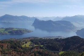 Vierwaldstättersee Pick and Mix Tour - Burgenstock, Rigi Seebodenalp und Luzern