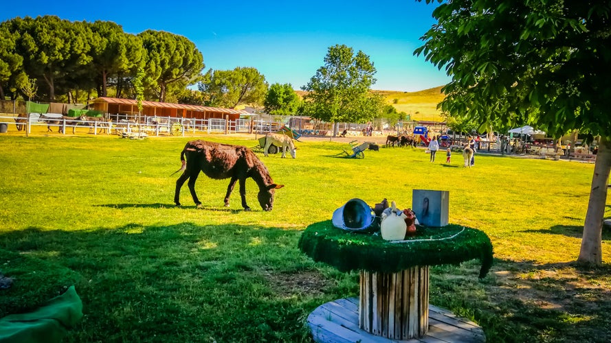 Ancient tools used for farming in Burrolandia farm, which is located in Tres Cantos, Madrid, Spain, Europe