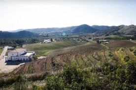 Vins haut de gamme et excursion gastronomique dans l'Algarve au départ de Portimao