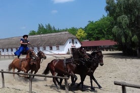 The "Puszta" Horse Show