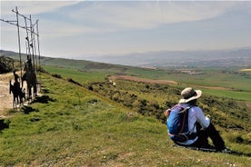 Camino de Santiago 最后 100 公里 Sarria 到 Santiago de Compostela