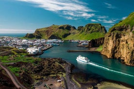 Private Westman Islands with Puffins and Belugas (Up to 8p)