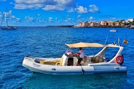 Eco Tour dans le sud de Tenerife avec plongée en apnée et baignade incluses