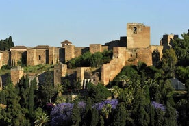 Photo of panoramic aerial view of Malaga on a beautiful summer day, Spain.