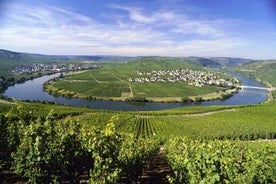  For kjærligheten til Riesling - Mosel Wine tour