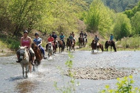 Kusadasi Horse Safari