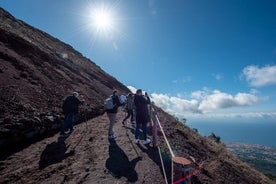 Private Day Trip from Naples to Sorrento, Positano and Amalfi