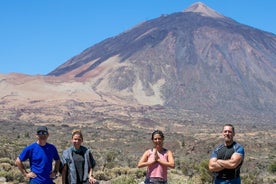 Expérience volcanique d'une demi-journée au Teide, Tenerife