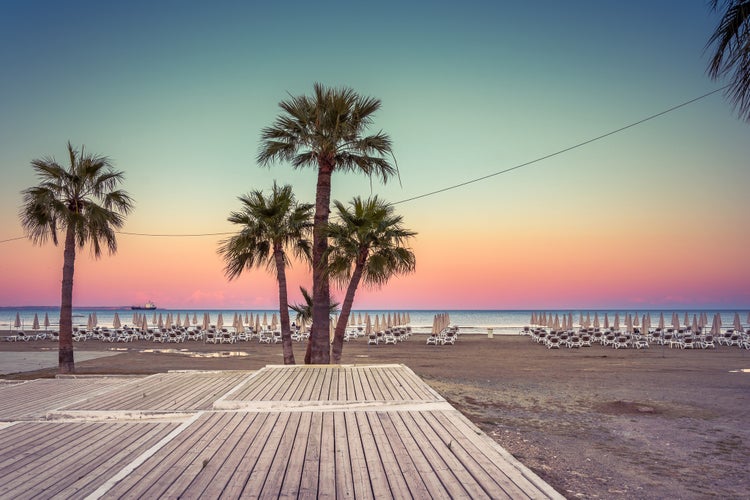 Photo of palm trees and sunbeds at the sandy beach of Larnaca.