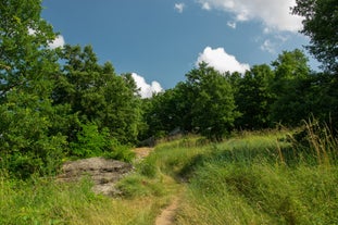 Sea of Stones, Szentbékkálla