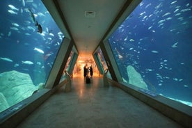 Istanbul: Aquarium Ticket and Round Trip Shuttle from Taksim