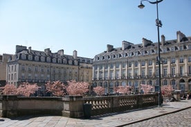 Visite privée à pied de Rennes avec un guide professionnel