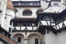 Brunbjörnsreservat, Rasnov fästning och Bran Castle Tour från Brasov