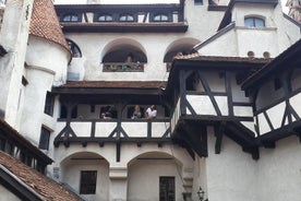 Brasov: Bear Sanctuary, Bran Castle & Rasnov Fortress GUIDED Tour