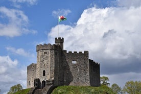 Privat dagstur i Sør-Wales, inkludert Cardiff og Caerphilly Castle.