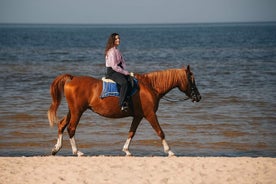 Passeios a cavalo privados na praia em Riga